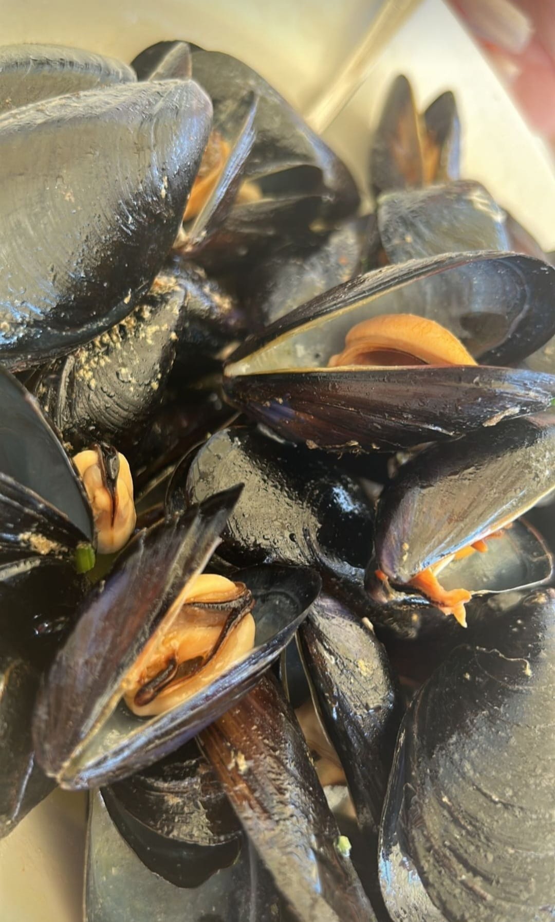 Italian food restaurant Dehesa de Campoamor (14)
